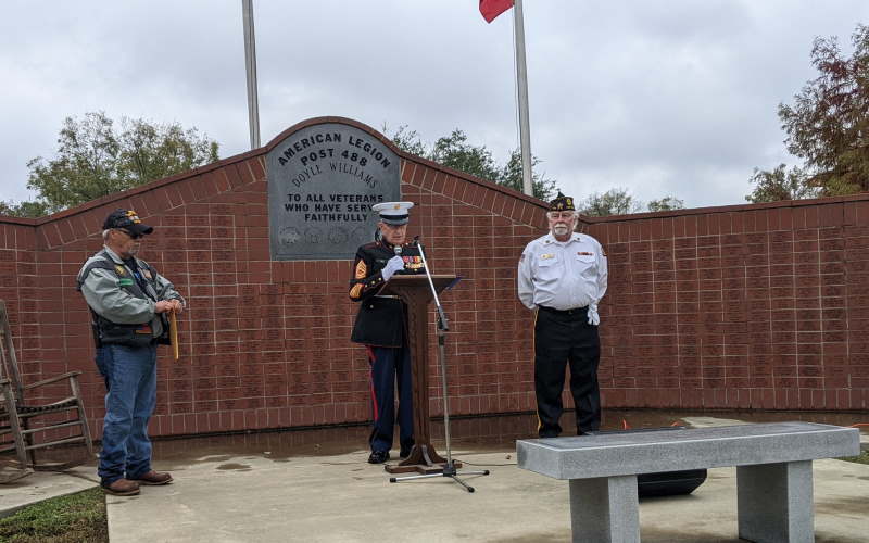 Veterans day parade near roseville ca