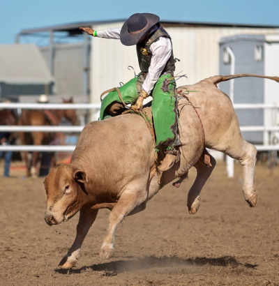 Bucking Bronco Hat - Kit's Crafts